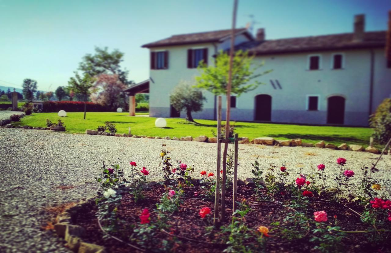 Podere Le Volte Degli Angeli Спело Екстериор снимка